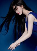 下简称“FSD”）入华”的会商取猜想